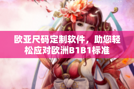 歐亞尺碼定制軟件，助您輕松應(yīng)對(duì)歐洲B1B1標(biāo)準(zhǔn)