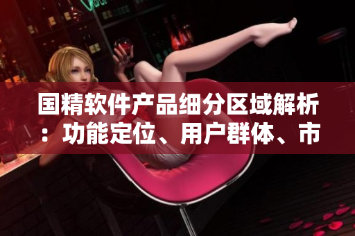 國精軟件產(chǎn)品細分區(qū)域解析：功能定位、用戶群體、市場優(yōu)勢對比