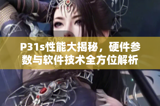 P31s性能大揭秘，硬件參數(shù)與軟件技術(shù)全方位解析