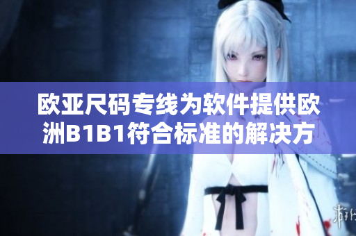 歐亞尺碼專線為軟件提供歐洲B1B1符合標(biāo)準(zhǔn)的解決方案