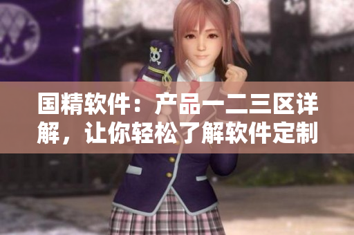 國精軟件：產(chǎn)品一二三區(qū)詳解，讓你輕松了解軟件定制、開發(fā)與優(yōu)化