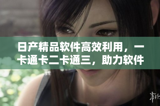 日產(chǎn)精品軟件高效利用，一卡通卡二卡通三，助力軟件快速開發(fā)與運行