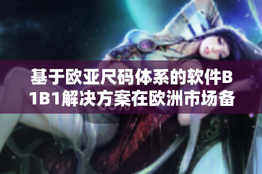 基于歐亞尺碼體系的軟件B1B1解決方案在歐洲市場(chǎng)備受歡迎