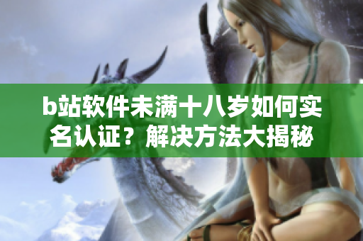 b站軟件未滿十八歲如何實名認(rèn)證？解決方法大揭秘