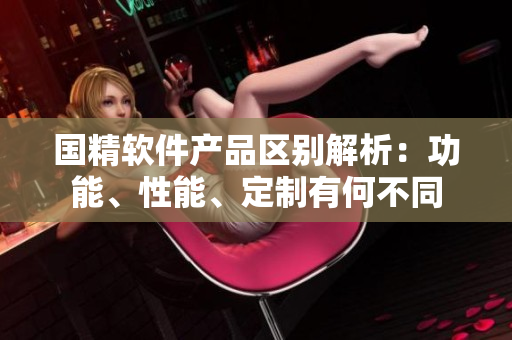 國精軟件產品區(qū)別解析：功能、性能、定制有何不同