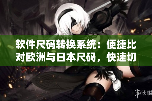 軟件尺碼轉(zhuǎn)換系統(tǒng)：便捷比對(duì)歐洲與日本尺碼，快速切換不同標(biāo)準(zhǔn)