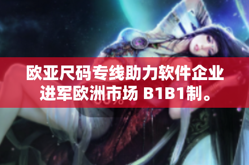 歐亞尺碼專線助力軟件企業(yè)進軍歐洲市場 B1B1制。