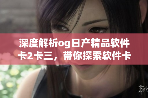深度解析og日產(chǎn)精品軟件卡2卡三，帶你探索軟件卡的神秘世界