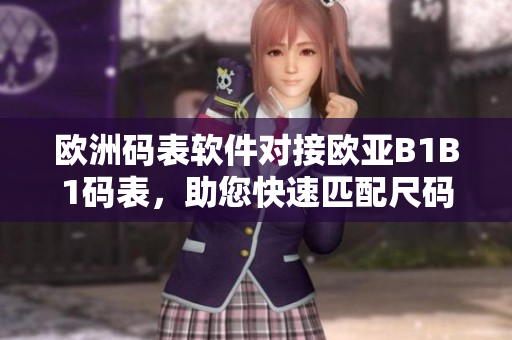歐洲碼表軟件對(duì)接歐亞B1B1碼表，助您快速匹配尺碼