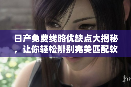 日產(chǎn)免費(fèi)線路優(yōu)缺點(diǎn)大揭秘，讓你輕松辨別完美匹配軟件需求