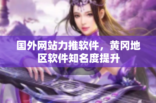 國外網(wǎng)站力推軟件，黃岡地區(qū)軟件知名度提升