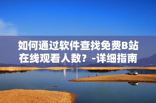 如何通過軟件查找免費B站在線觀看人數(shù)？-詳細指南