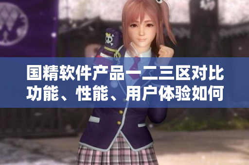 國精軟件產(chǎn)品一二三區(qū)對比功能、性能、用戶體驗如何選擇？