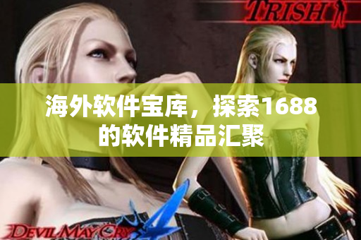 海外軟件寶庫(kù)，探索1688的軟件精品匯聚