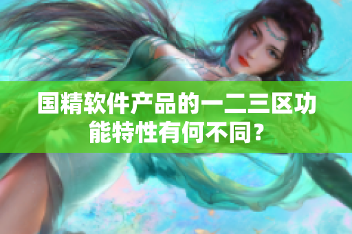國(guó)精軟件產(chǎn)品的一二三區(qū)功能特性有何不同？