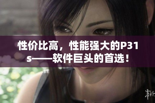 性價比高，性能強大的P31s——軟件巨頭的首選！