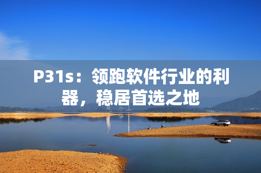 P31s：領(lǐng)跑軟件行業(yè)的利器，穩(wěn)居首選之地