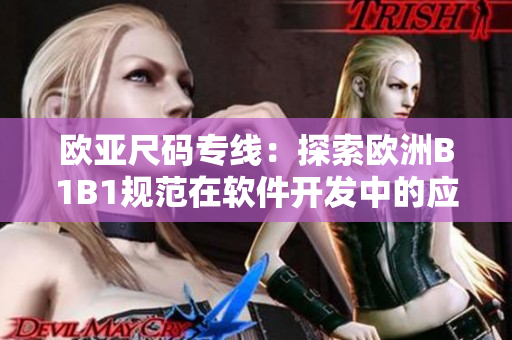 歐亞尺碼專線：探索歐洲B1B1規(guī)范在軟件開(kāi)發(fā)中的應(yīng)用前景