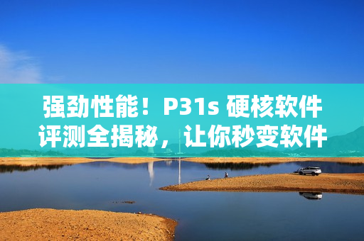 強(qiáng)勁性能！P31s 硬核軟件評(píng)測(cè)全揭秘，讓你秒變軟件專(zhuān)家