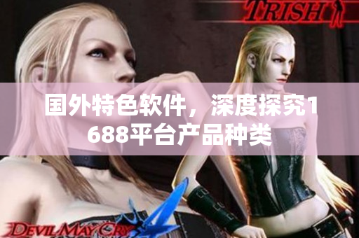 國(guó)外特色軟件，深度探究1688平臺(tái)產(chǎn)品種類