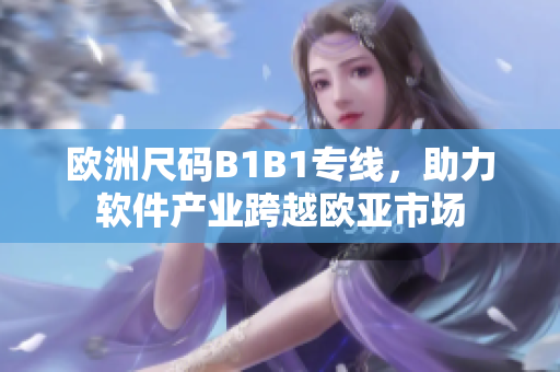 歐洲尺碼B1B1專線，助力軟件產(chǎn)業(yè)跨越歐亞市場