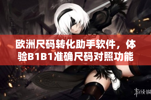 歐洲尺碼轉(zhuǎn)化助手軟件，體驗B1B1準確尺碼對照功能