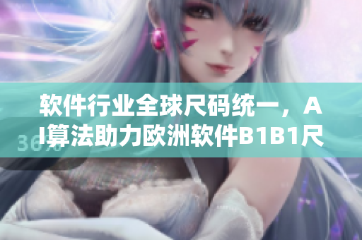 軟件行業(yè)全球尺碼統(tǒng)一，AI算法助力歐洲軟件B1B1尺碼管理