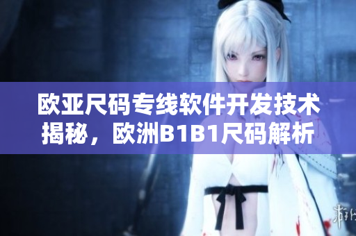 歐亞尺碼專線軟件開發(fā)技術(shù)揭秘，歐洲B1B1尺碼解析詳細指南