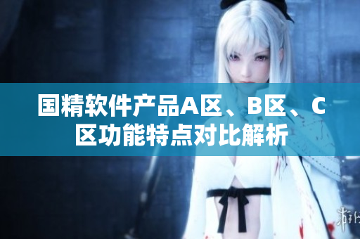 國精軟件產(chǎn)品A區(qū)、B區(qū)、C區(qū)功能特點對比解析