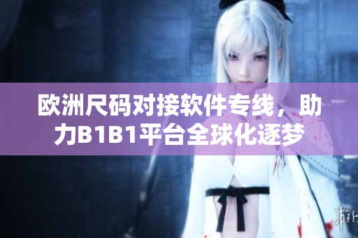歐洲尺碼對(duì)接軟件專線，助力B1B1平臺(tái)全球化逐夢(mèng)
