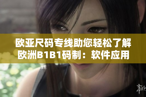 歐亞尺碼專線助您輕松了解歐洲B1B1碼制：軟件應(yīng)用實用指南
