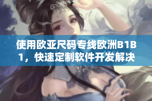 使用歐亞尺碼專線歐洲B1B1，快速定制軟件開發(fā)解決方案