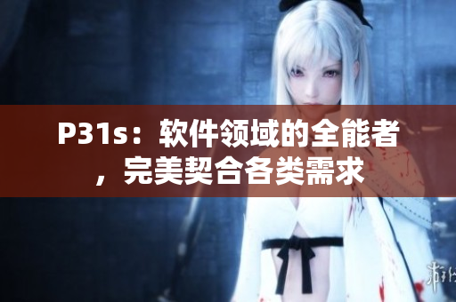 P31s：軟件領域的全能者，完美契合各類需求