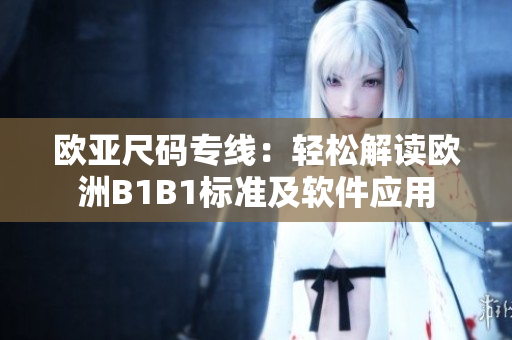 歐亞尺碼專線：輕松解讀歐洲B1B1標準及軟件應用