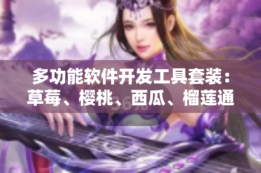 多功能軟件開(kāi)發(fā)工具套裝：草莓、櫻桃、西瓜、榴蓮?fù)ㄓ冒b盒