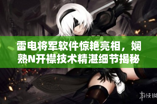 雷電將軍軟件驚艷亮相，嫻熟N開襟技術(shù)精湛細(xì)節(jié)揭秘