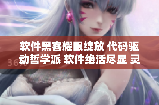 軟件黑客耀眼綻放 代碼驅(qū)動哲學(xué)派 軟件絕活盡顯 靈感與技術(shù)共鳴