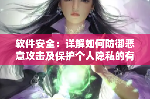 軟件安全：詳解如何防御惡意攻擊及保護(hù)個(gè)人隱私的有效方法
