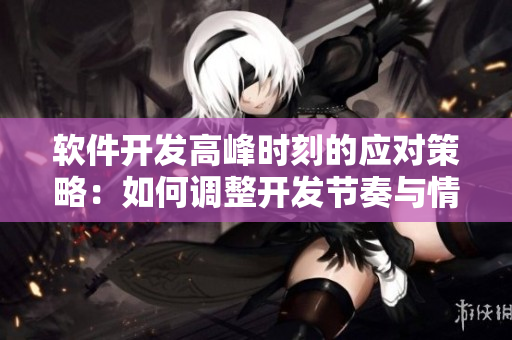 軟件開發(fā)高峰時(shí)刻的應(yīng)對策略：如何調(diào)整開發(fā)節(jié)奏與情緒管理