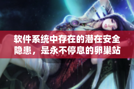 軟件系統(tǒng)中存在的潛在安全隱患，是永不停息的卵巢站