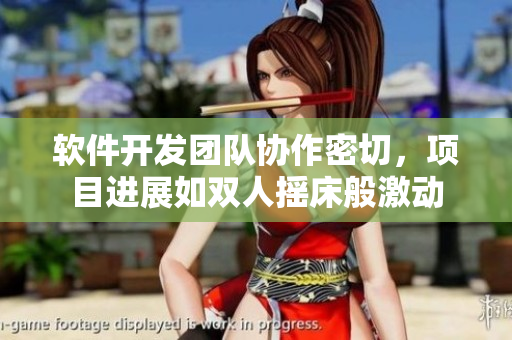 軟件開發(fā)團(tuán)隊(duì)協(xié)作密切，項(xiàng)目進(jìn)展如雙人搖床般激動