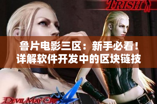 魯片電影三區(qū)：新手必看！詳解軟件開(kāi)發(fā)中的區(qū)塊鏈技術(shù)