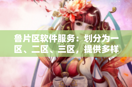 魯片區(qū)軟件服務(wù)：劃分為一區(qū)、二區(qū)、三區(qū)，提供多樣化服務(wù)