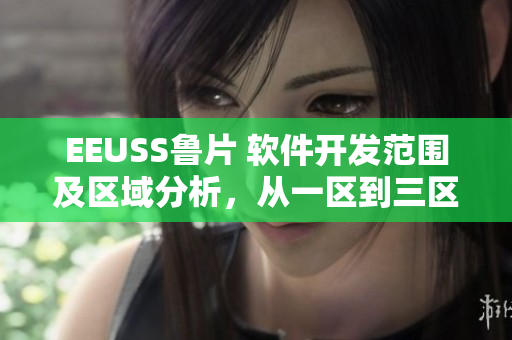 EEUSS魯片 軟件開發(fā)范圍及區(qū)域分析，從一區(qū)到三區(qū)詳細(xì)解讀