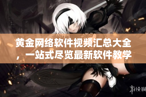 黃金網(wǎng)絡(luò)軟件視頻匯總大全，一站式盡覽最新軟件教學(xué)操作技巧