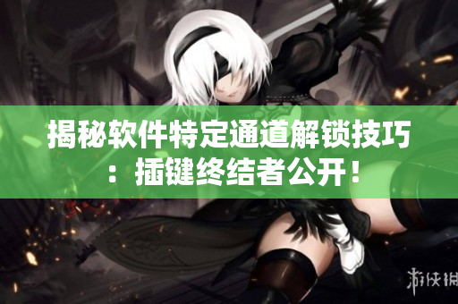 揭秘軟件特定通道解鎖技巧：插鍵終結(jié)者公開！