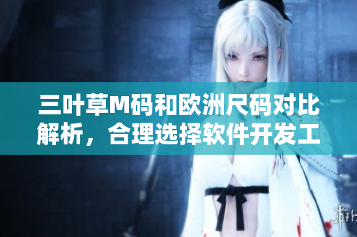 三葉草M碼和歐洲尺碼對(duì)比解析，合理選擇軟件開發(fā)工具