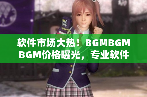 軟件市場大熱！BGMBGMBGM價格曝光，專業(yè)軟件價格實(shí)探