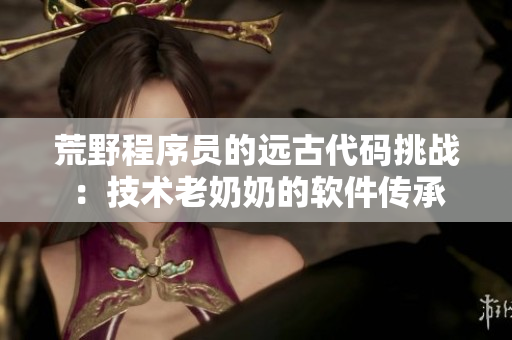 荒野程序員的遠古代碼挑戰(zhàn)：技術老奶奶的軟件傳承