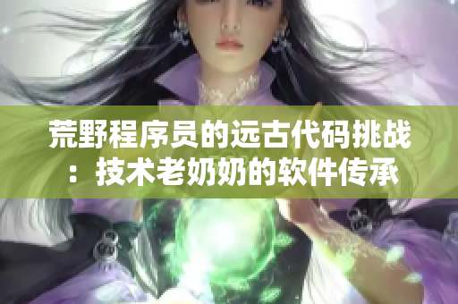 荒野程序員的遠(yuǎn)古代碼挑戰(zhàn)：技術(shù)老奶奶的軟件傳承